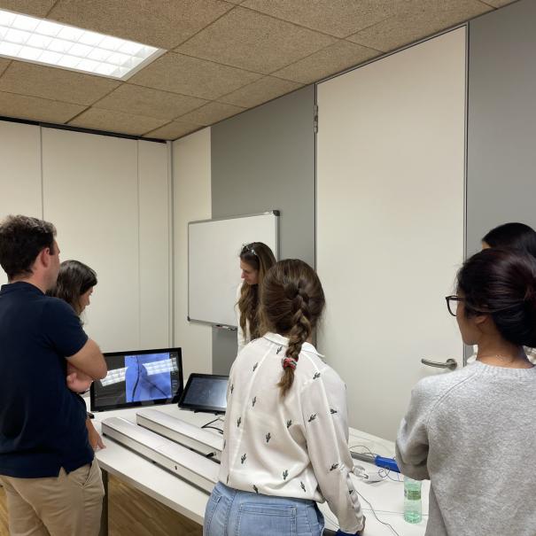 Clinical Immersion en EVAR en el Hospital Universitario de Burgos